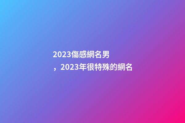 2023傷感網名男，2023年很特殊的網名